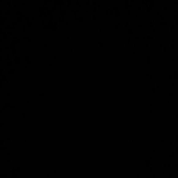 Meet your Posher, Kasey - Picture 1 of 1